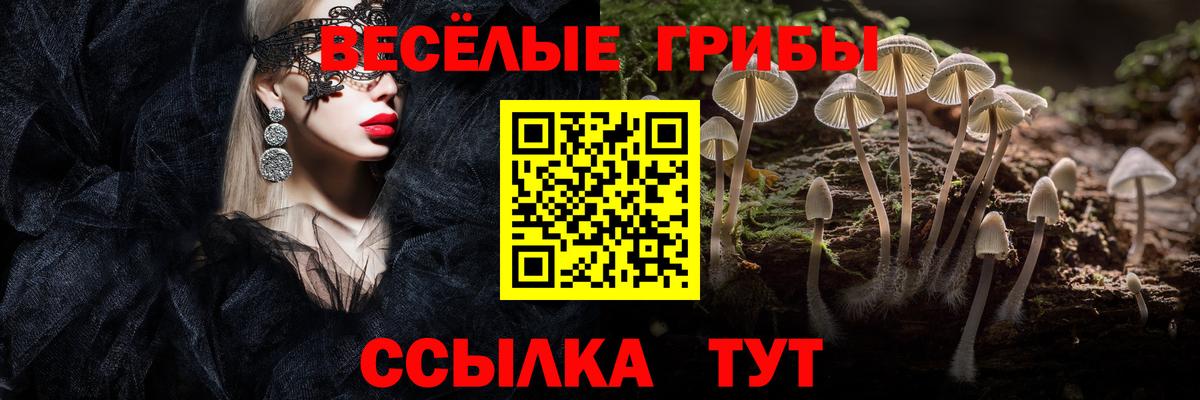 Псилоцибиновые грибы Psilocybe  Вход с VPN  Топки 